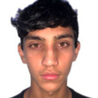 Diogo Henrique Gonçalves Mendes