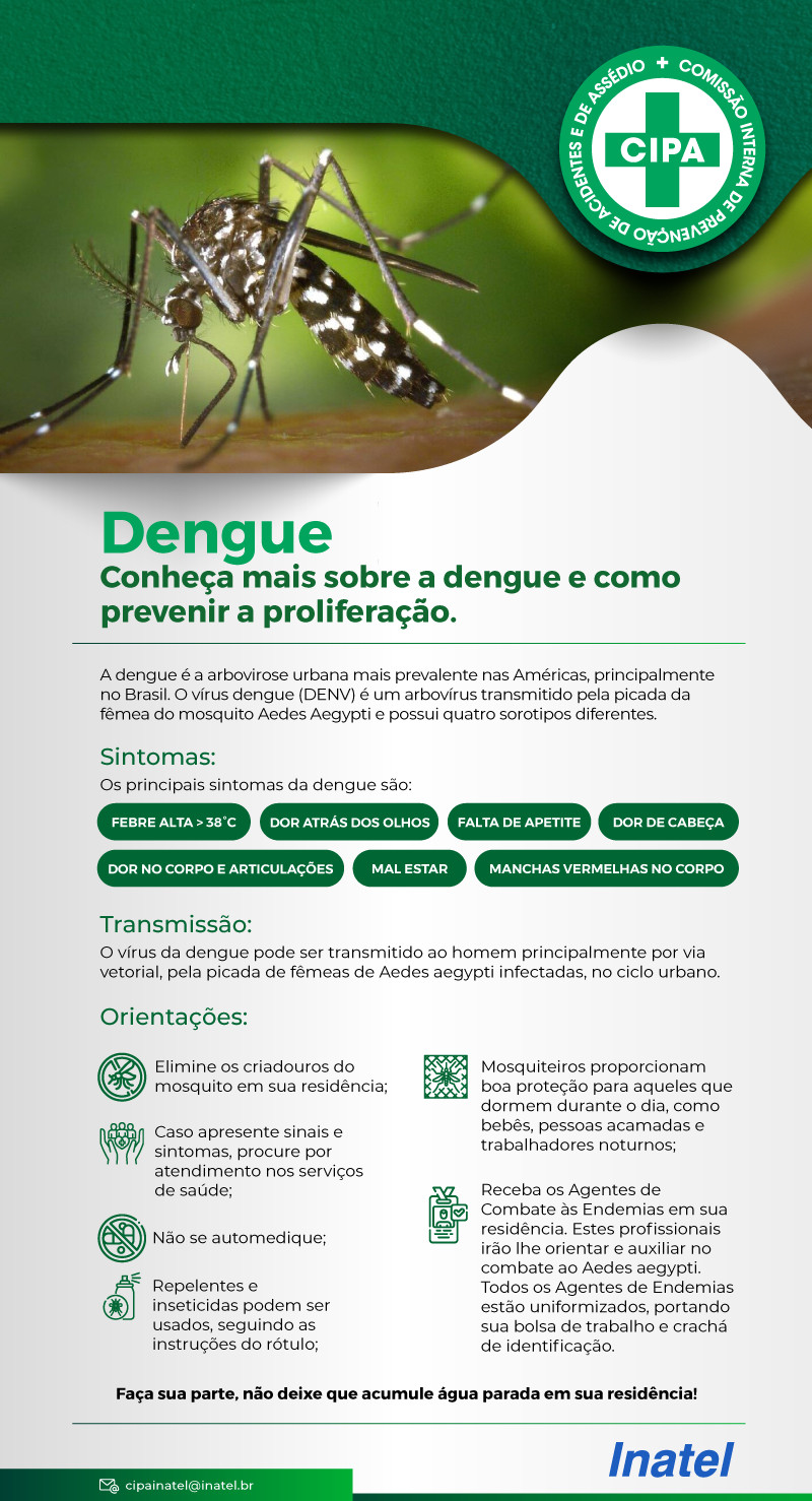 Dengue 2024