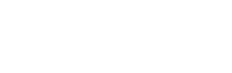 IoT Team