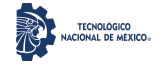 Tecnológico Nacional de México