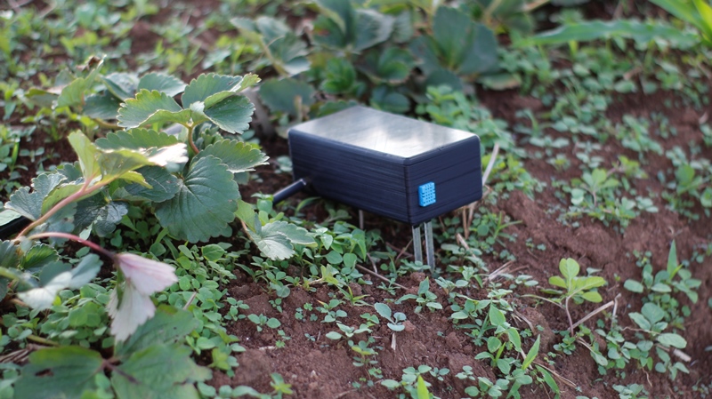 inatel projeto IoT lavoura morango 1