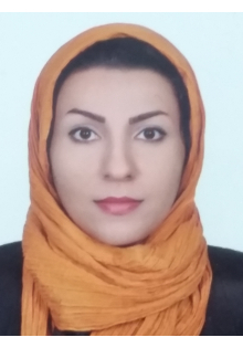 Nargess Sadeghzadeh-Nokhodberiz