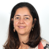Luciana Alvim Santos Romani